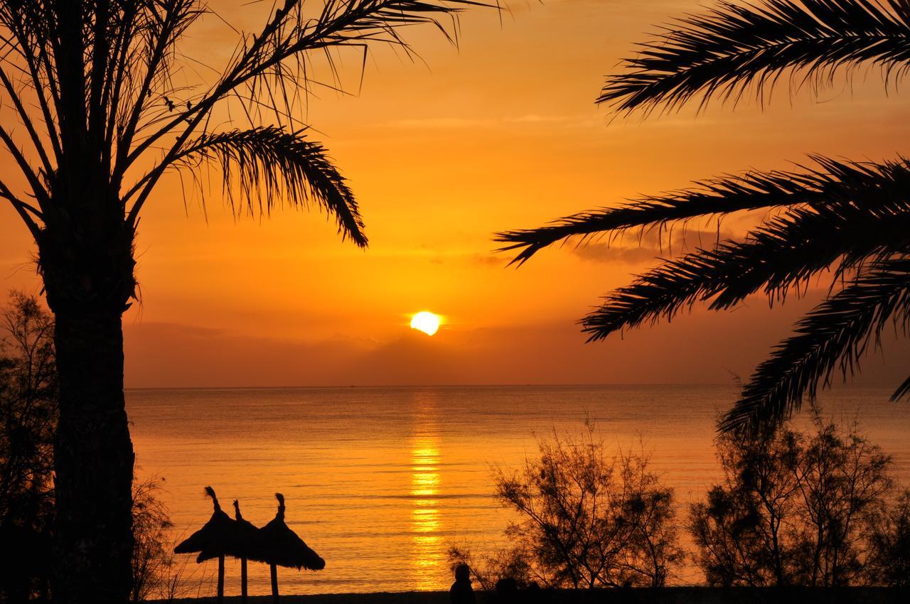 Houm Villa Plaza Arosa Palma Kültér fotó